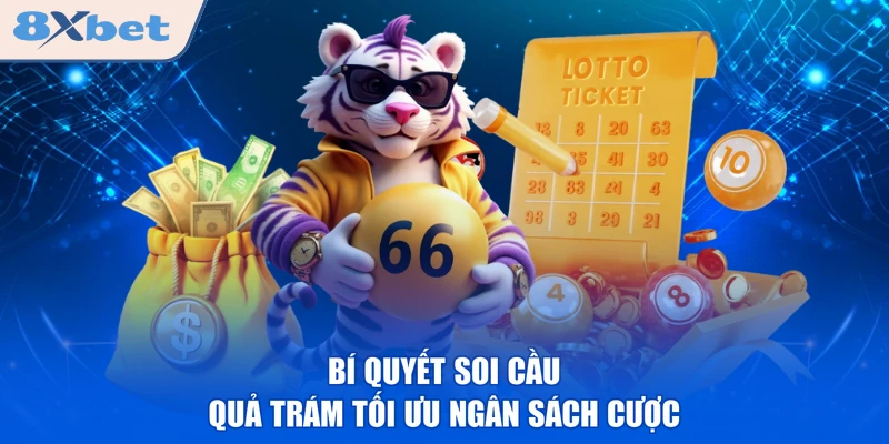 Bí quyết soi cầu quả trám tối ưu ngân sách cược 
