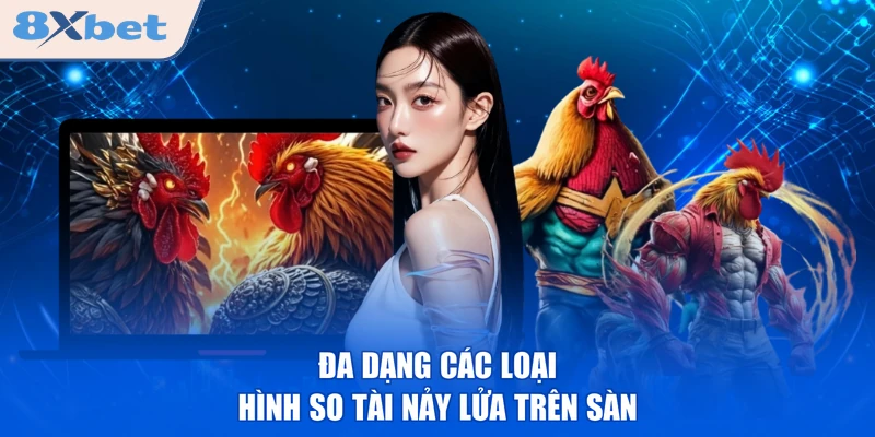 Đa dạng các loại hình so tài nảy lửa trên sàn