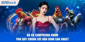 Đá Gà Campuchia Khám Phá Quy Chuẩn Sới Đấu Đỉnh Cao 8XBET