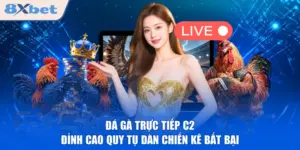 Đá Gà Trực Tiếp C2 Đỉnh Cao Quy Tụ Dàn Chiến Kê Bất Bại