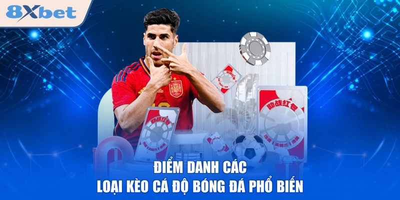 Điểm danh các loại kèo cá độ bóng đá phổ biến