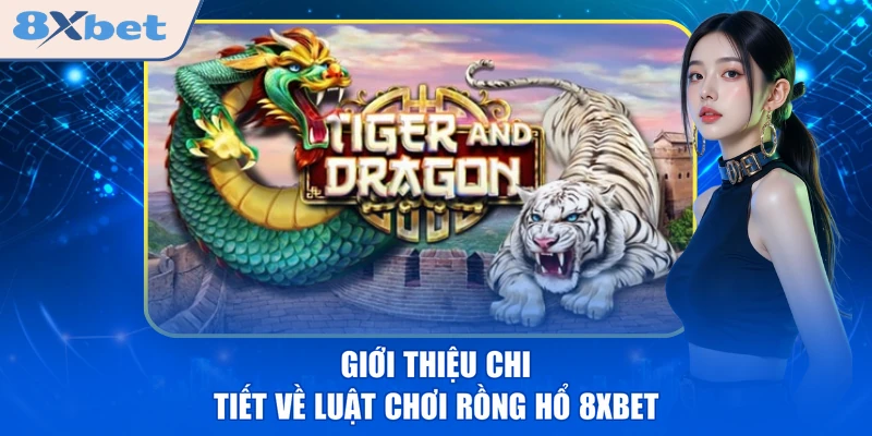 Giới thiệu chi tiết về luật chơi Rồng Hổ 8XBET