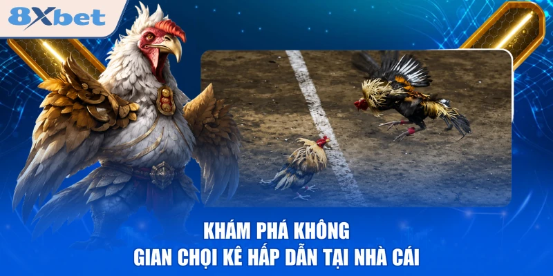 Khám phá không gian chọi kê hấp dẫn tại nhà cái