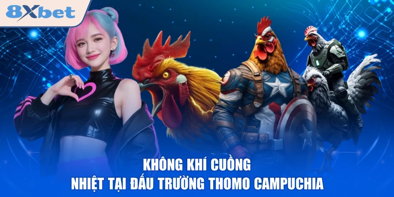 Không khí cuồng nhiệt tại đấu trường Thomo Campuchia