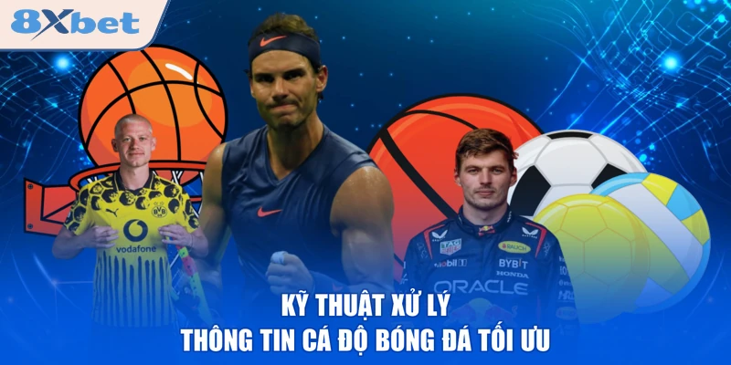 Kỹ thuật xử lý thông tin cá độ bóng đá tối ưu