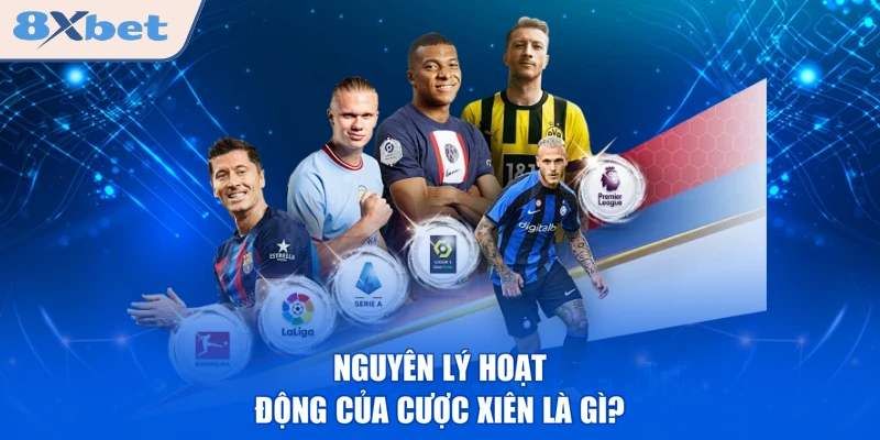 Nguyên lý hoạt động của cược xiên là gì?