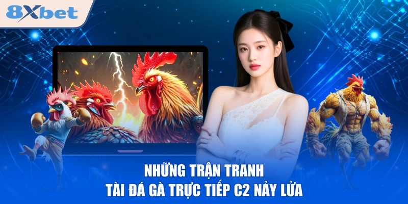 Những trận tranh tài đá gà trực tiếp C2 nảy lửa