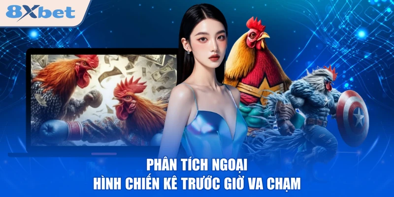 Phân tích ngoại hình chiến kê trước giờ va chạm