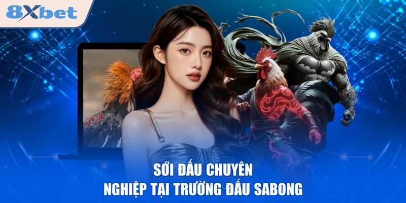 Sới đấu chuyên nghiệp tại trường đấu Sabong