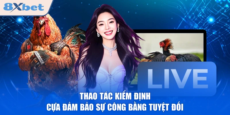 Thao tác kiểm định cựa đảm bảo sự công bằng tuyệt đối