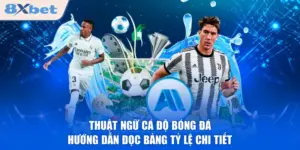Thuật Ngữ Cá Độ Bóng Đá - Hướng Dẫn Đọc Bảng Tỷ Lệ Chi Tiết