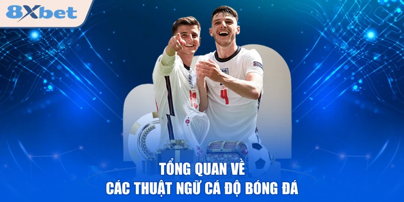 Tổng quan về các thuật ngữ cá độ bóng đá