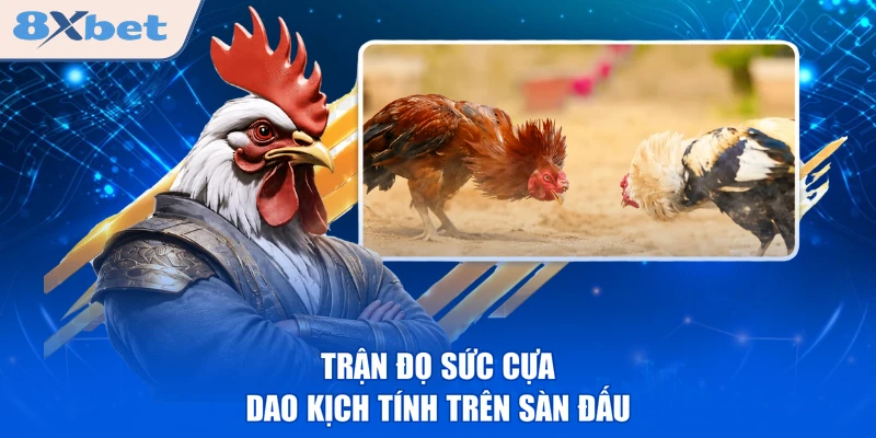Trận đọ sức cựa dao kịch tính trên sàn đấu